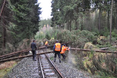 Die im Gleisbereich umgefallenen Bäume werden so zersägt, dass für den Bahnbetrieb von ihnen keine weitere Gefährdung ausgeht. Die finale Beräumung erfolgt dann durch den Forst selber.