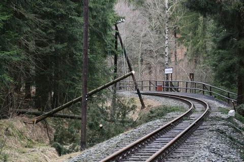 Blick entlang des Gleises zum Haltepunkt Loreleifelsen. Zwischen Kilometer 20,8 und 21,2 müssen zahlreiche Masten der Streckenfernsprechleitung erneuert werden.