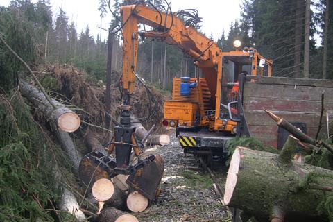 Mit dem Schwellenwechsler werden am zweiten Räumungstag die zerschnittenen Bäume verladen.