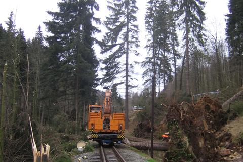 Links und rechts der Bahnstrecke sorgte Orkan Kyrill für neue Lichtungen im Wald.