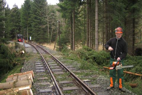 Auch am Haltepunkt Stolln mussten auf dem Gleis liegende Bäume zerlegt werden.