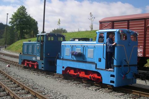 Die beiden V10c der Traditionsbahn Radebeul e.V. und der IG Weißeritztalbahn e.V. waren zeitweise gemeinsam im Streckeneinsatz zu erleben, danach kehrten sie wieder auf die Anschlussbahn der Ausstellungs- und Fahrzeughalle zurück.