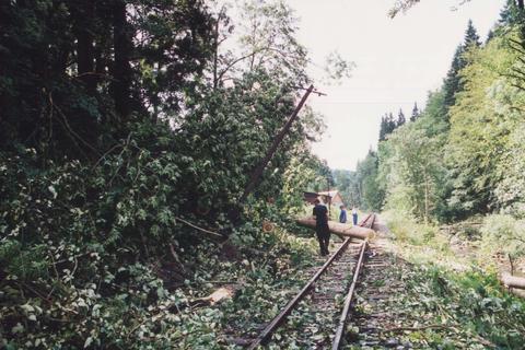 Besonders die Streckenfernsprechleitung wurde über mehrere hundert Meter stark zerstört.