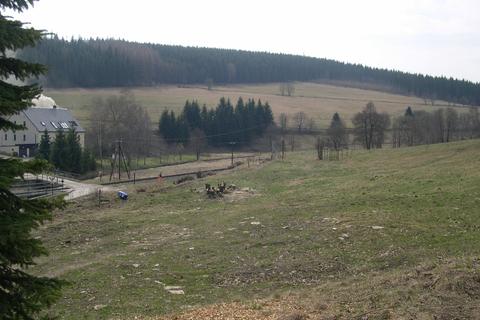Blick von der Schlösselstraße Richtung Weidefläche und Einfahrweiche.