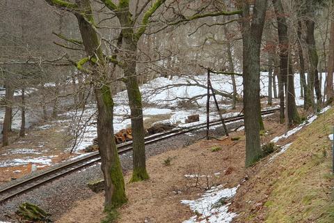 Im „Wäldchen“ zwischen Bahnübergang der Straße nach Grumbach und Forellenhof hat es mehrere Bäume erwischt, einige Bäume und große Äste landeten auch auf Gleis und Fernsprechleitung.