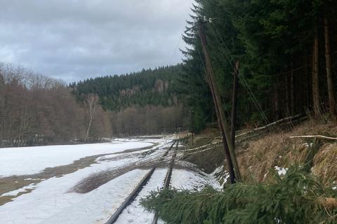 Entlang des Gleises zwischen Bahnübergang der Straße nach Grumbach und Forellenhof sind unzählige Bäume ins Gleis gestürzt und haben dabei den Telegrafenmast umgezogen.