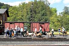 Anmarsch zur Verladung am Bahnsteig in Steinbach.