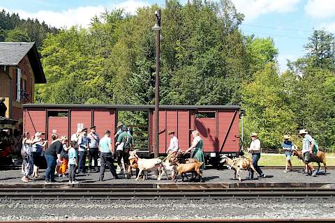 Anmarsch zur Verladung am Bahnsteig in Steinbach.