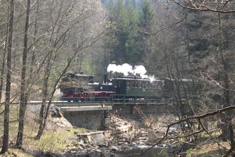 Der von 99 1564 gezogene Personenzug passiert die Brücke am Kilometer 16,2 über die Preßnitz.